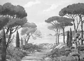 Carta da parati Walk in the creeks, bianco e nero