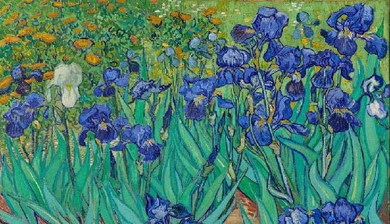 Carta da parati con motivi floreali Iris