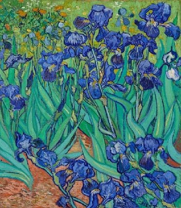 Carta da parati con motivi floreali Iris