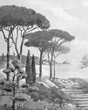 Carta da parati Walk in the creeks, bianco e nero