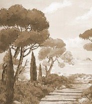 Passeggiata nei torrenti carta da parati monocromatica