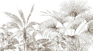 Carta da parati con incisioni monocromatiche tropicali
