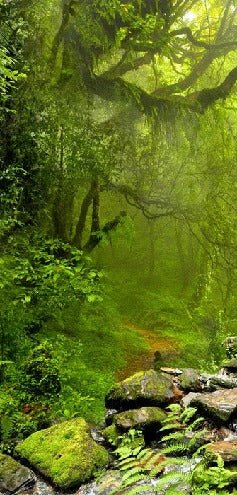 Carta da parati Cascade & Forest