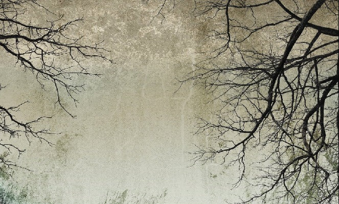 Carta da parati Foresta incantata