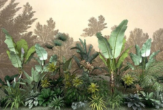 Carta da parati della giungla indonesiana