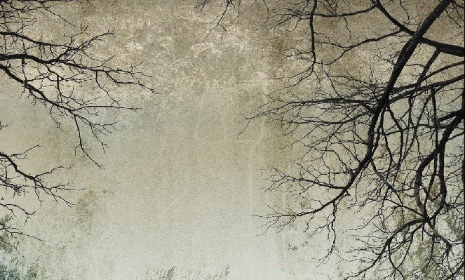 Carta da parati Foresta incantata