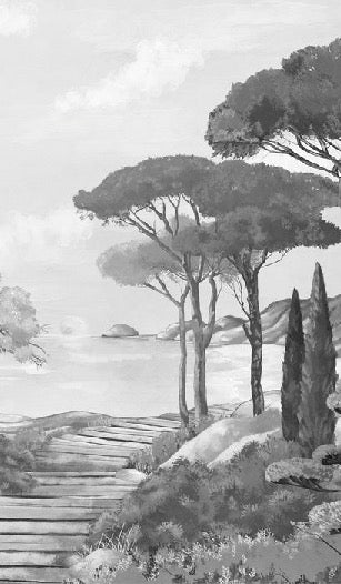 Carta da parati passeggiata nelle calanques in bianco e nero