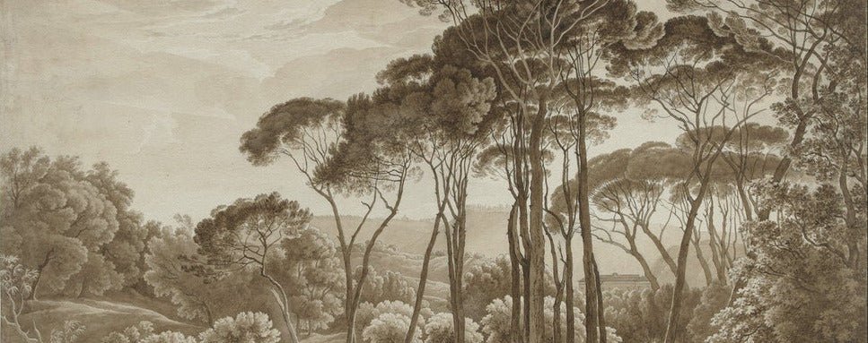 Carta da parati Hall landscape Italia ambra