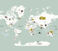 Carta da parati con mappamondo francese per bambini, verde