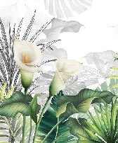 Carta da parati per toilette con giglio bianco e natura