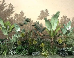 Carta da parati della giungla indonesiana