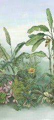 Carta da parati con piante botaniche