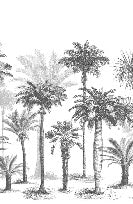 Carta da parati Jungle in bianco e nero