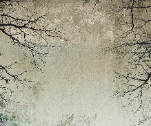 Carta da parati Foresta incantata