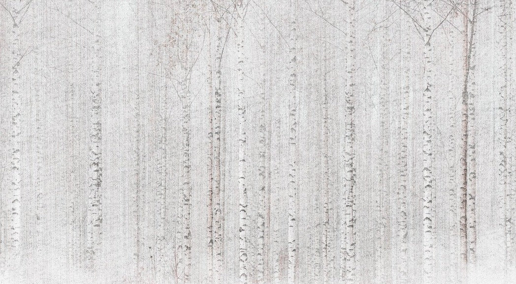 Avvolgente carta da parati della foresta di betulle