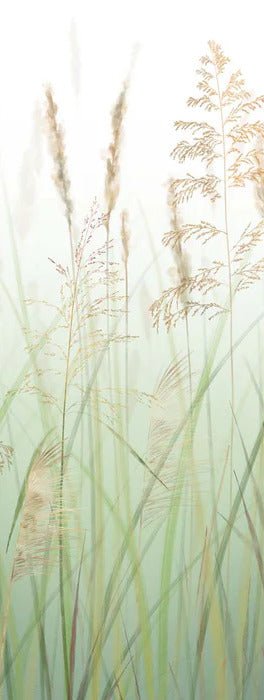 Carta da parati con fiori di campo e grano verde