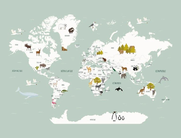 Carta da parati con mappamondo francese per bambini, verde
