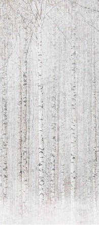 Avvolgente carta da parati della foresta di betulle