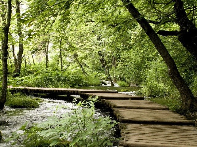 Bistro trompe l'oeil sentiero forestale carta da parati