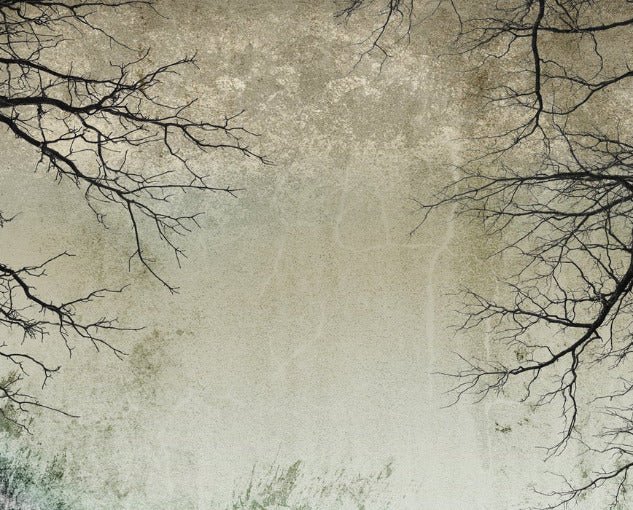 Carta da parati Foresta incantata