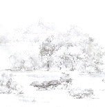 Carta da parati foresta di pini acquerello