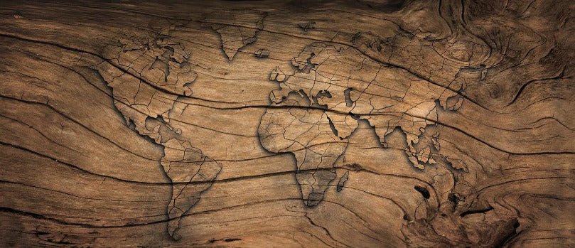 Carta da parati Wood & Map