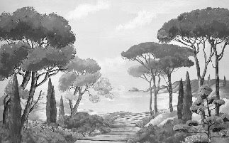 Carta da parati Walk in the creeks, bianco e nero