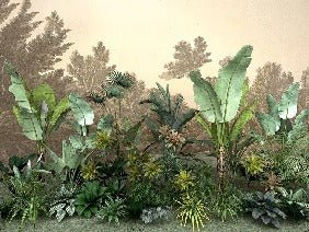 Carta da parati della giungla indonesiana