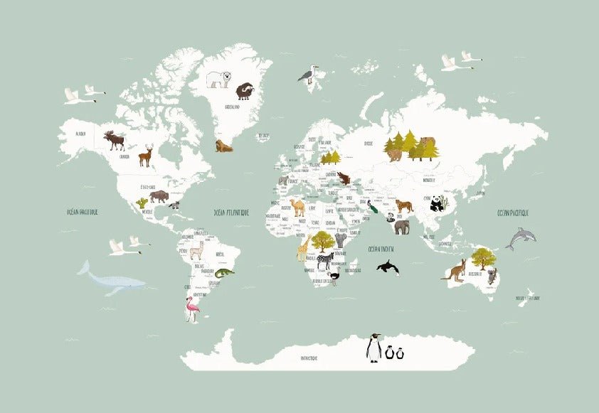 Carta da parati con mappamondo francese per bambini, verde