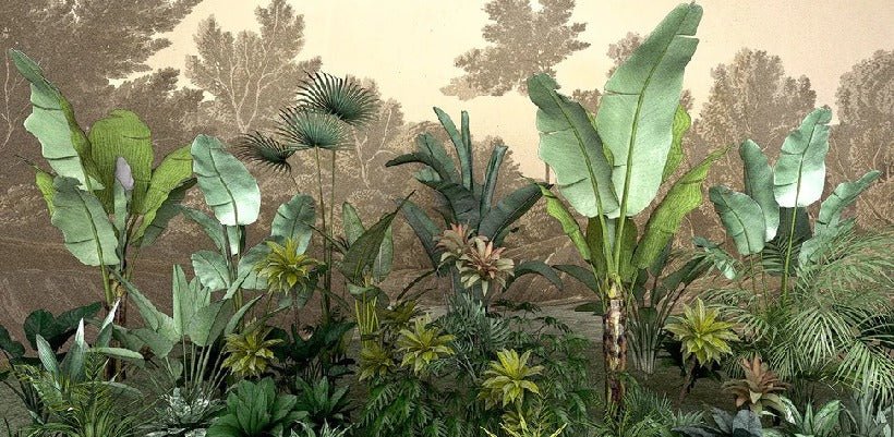 Carta da parati della giungla indonesiana