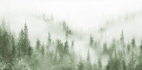 Carta da parati acquerello verde nebbia bistro abete