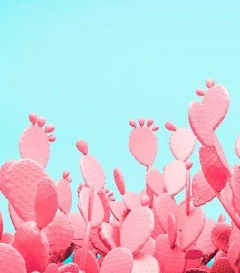 Carta da parati pop cactus