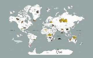 Carta da parati grigia con mappamondo francese per bambini