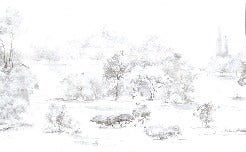 Carta da parati acquerello pineta