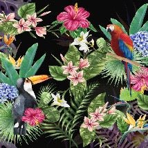 Carta da parati tropicale e tucano