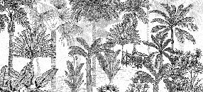 Carta da parati alla moda della giungla di cocco