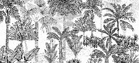 Carta da parati alla moda della giungla di cocco