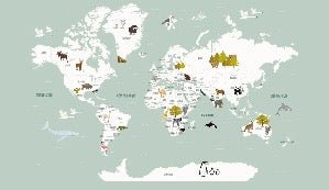 Carta da parati con mappamondo francese per bambini, verde