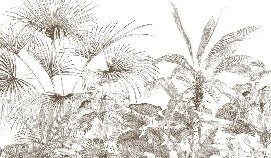 Carta da parati con incisioni monocromatiche tropicali