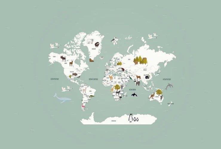 Carta da parati con mappamondo francese per bambini, verde