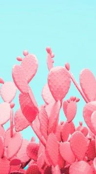 Carta da parati pop cactus