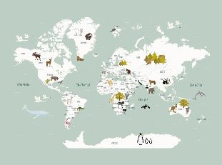 Carta da parati con mappamondo francese per bambini, verde