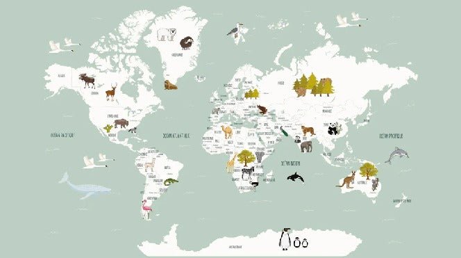 Carta da parati con mappamondo francese per bambini, verde