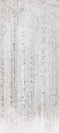 Avvolgente carta da parati della foresta di betulle