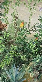 Pappagallo della giungla