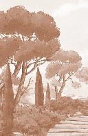 Carta da parati passeggiata nelle calanques terracotta