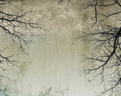 Carta da parati Foresta incantata