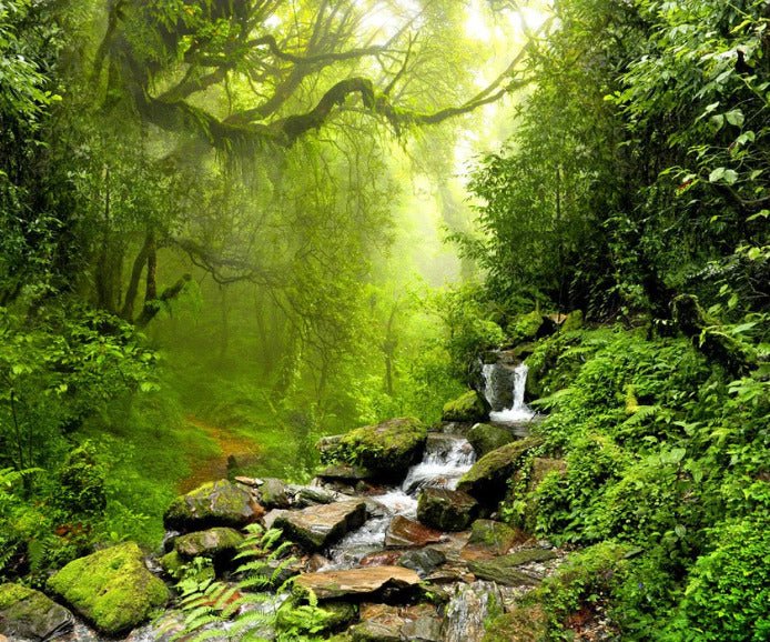 Carta da parati Cascade & Forest