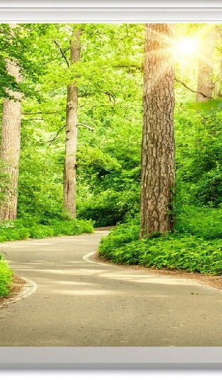 Carta da parati wc walk in the forest