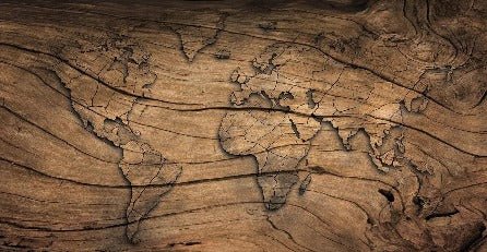 Carta da parati Wood & Map